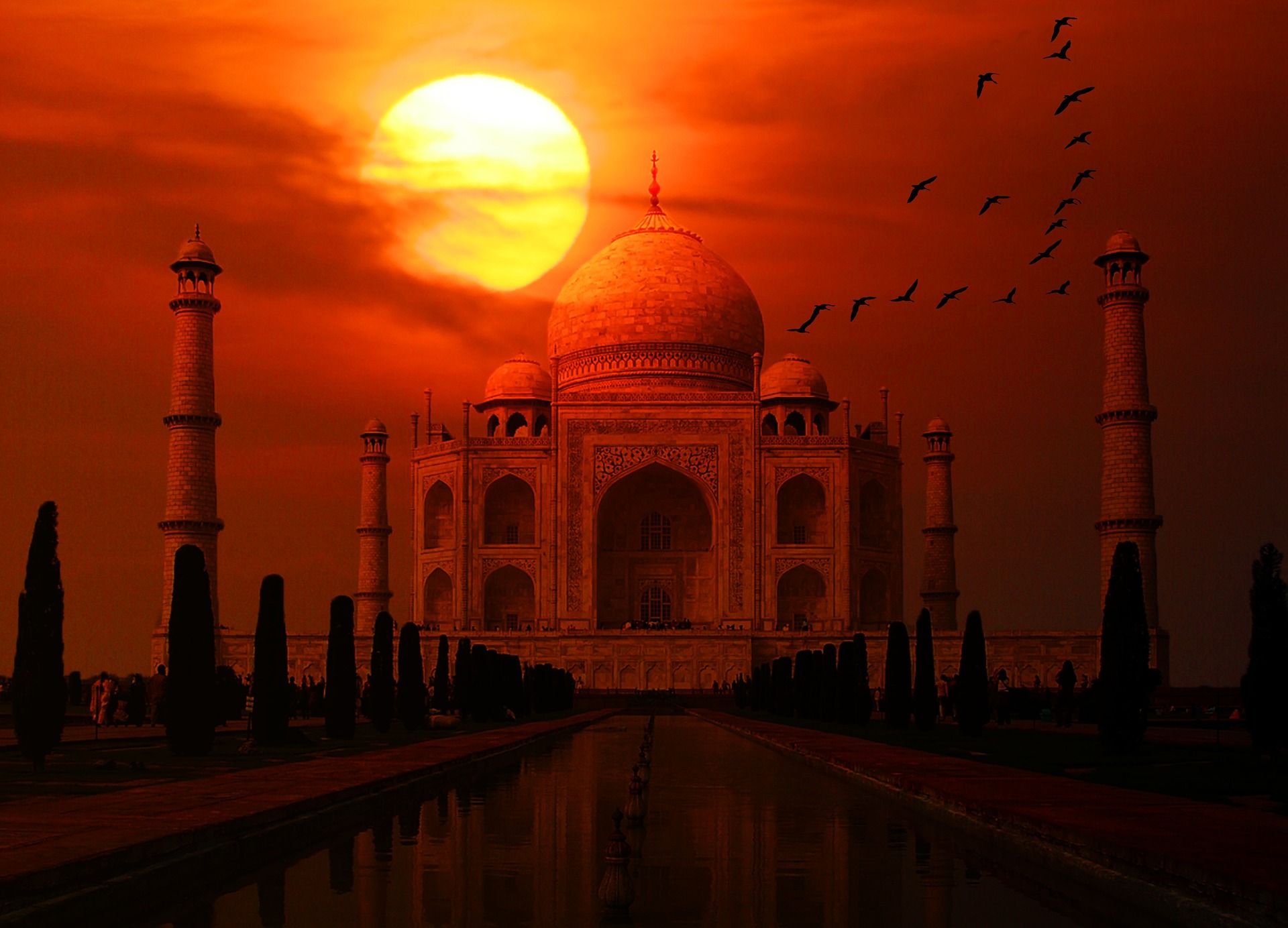 agra#4